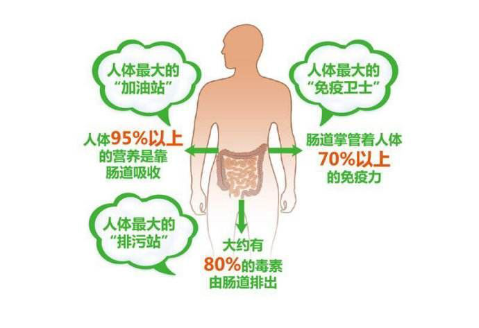 肠道失衡对人体的健康影响不容小觑！(图3)